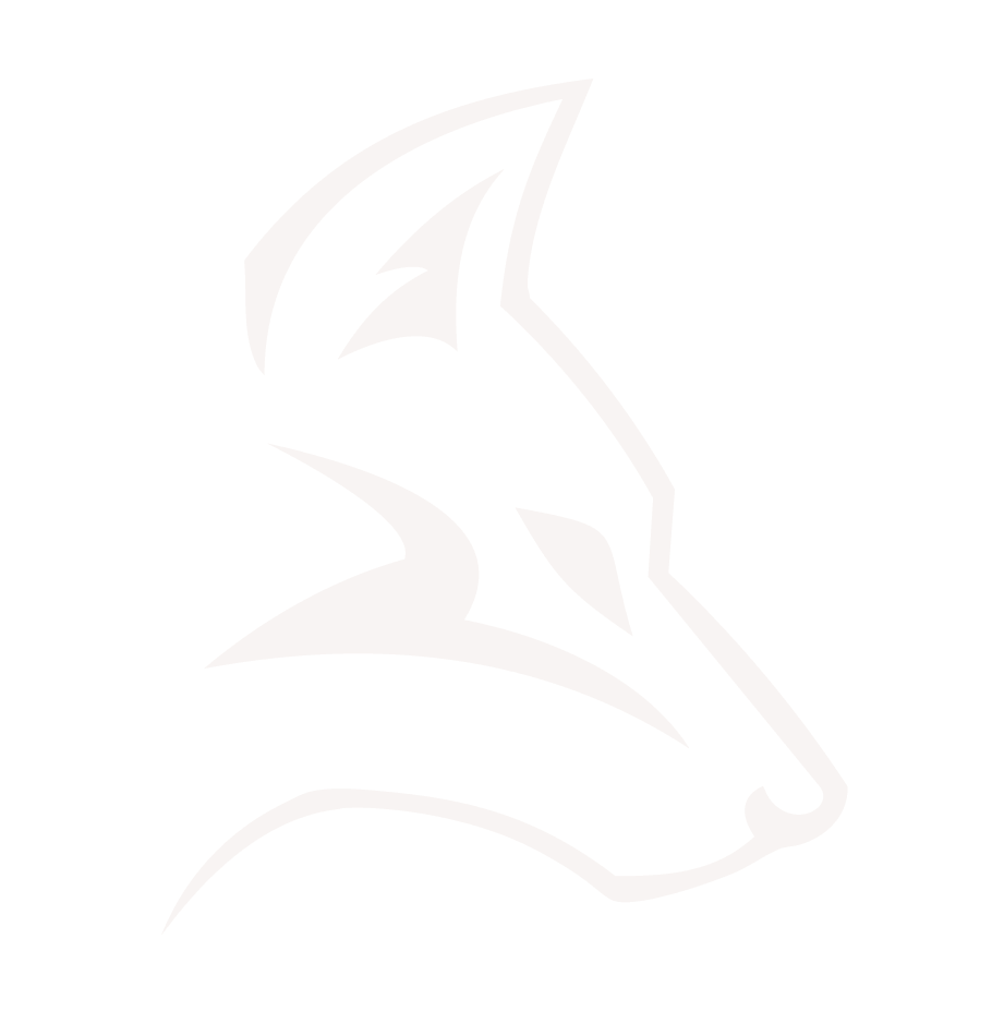 Llop Logo
